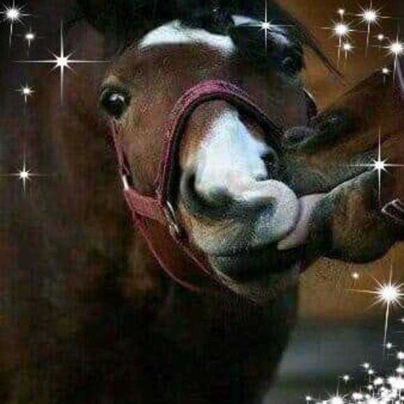 Meet your Posher, Alicia - Picture 1 of 1